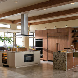 Integrated Appliances - Products