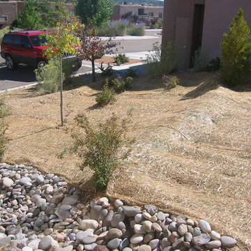 Erosion Control + Passive Water Harvesting
