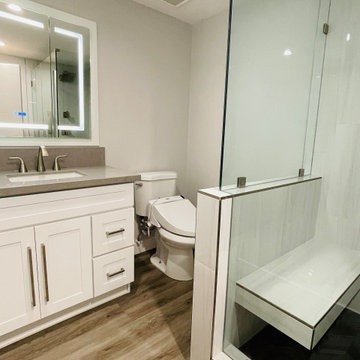 Modern Style Major Home Renovation