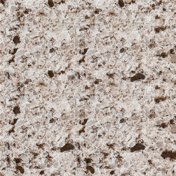 QUARTZ COUNTER TOP AND FLOOR - Kitchen Countertops