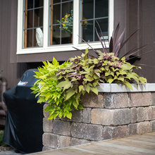 Planters