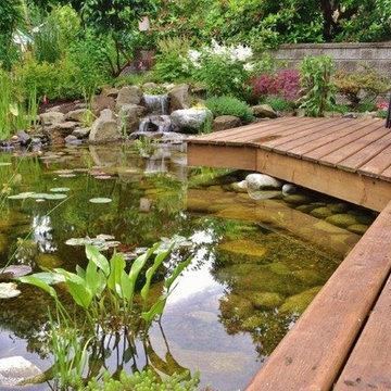 Ecosystem Ponds