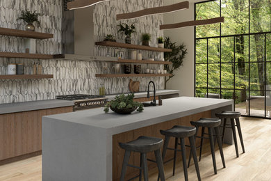 Kitchen photo in Dallas