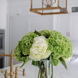 Remarkable Renovation - Plants