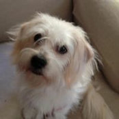 Frances Janoush's photo