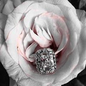 Chrys Day's photo