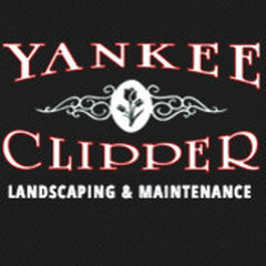 Yankee Clipper