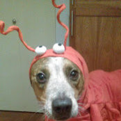 Christine Stawitz's photo