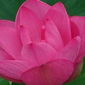Kayoko Sanda's photo