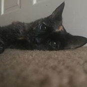 Jennifer Merkel's photo