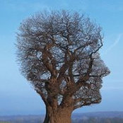 Wayne Dodd's photo