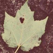Chrissy Vagenius's photo