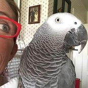 Michelle Rogers's photo