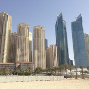 wertus800s billede