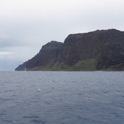 P's photo