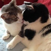 Gwen Knapp's photo