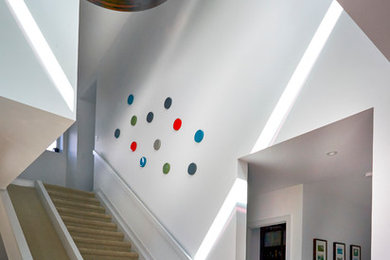 Example of a mid-sized trendy carpeted straight staircase design in Edmonton with carpeted risers