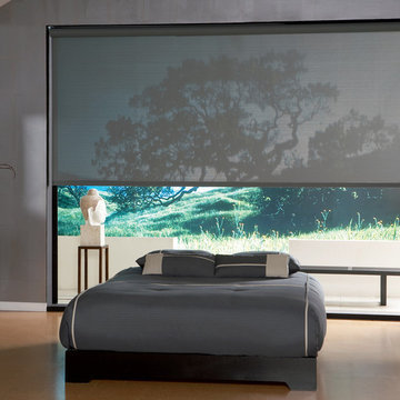 Solar Shades