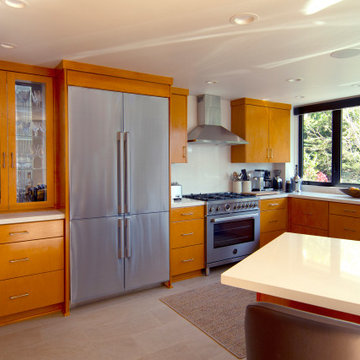 Venice Beach Renovation