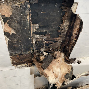 Westville - Bathroom Renovation/Repair