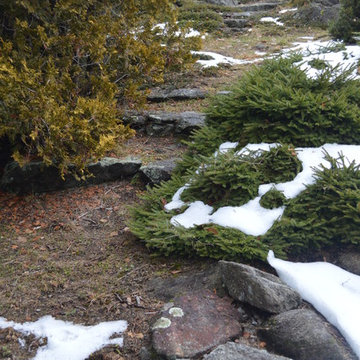 Weathered Stone Steps
