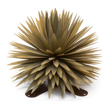 Steel Yucca Plants