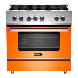 Pro-Line 36" Range - Gas Ranges And Electric Ranges