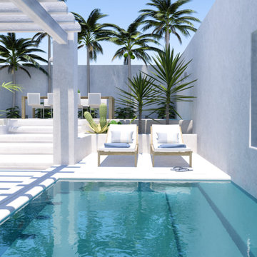 Contemporary tropical backyard