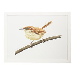 CAROLINA WREN WALL ART - Prints And Posters