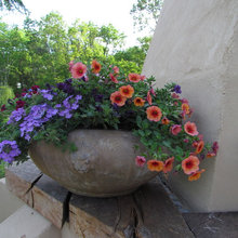 Container Gardening Ideas