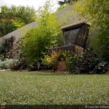 SYNLawn | Close-up Shots