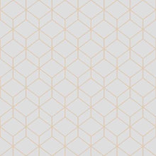Wall Paper