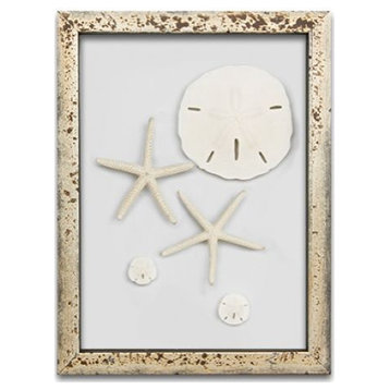 Starfish and Sand Dollars Frame, Silver Acid Washed