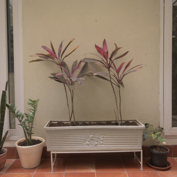Residential Landscape & Terrace Design