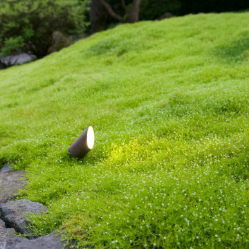 Moss gardens