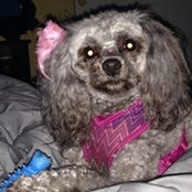 Bethany Weatherford's photo