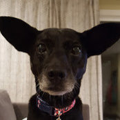 Lia Simon's photo