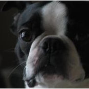 Foto von Ruth Tylock