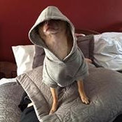 Becky Smith's photo