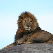 Lourens Smith's photo