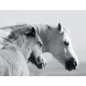 Kerry Ould's photo