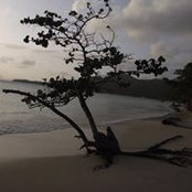 Isabelle Desharnais's photo