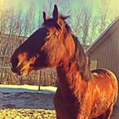 Eve Dagenais's photo