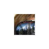 Julie Evans's photo