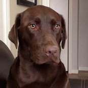 Carl Schoettlin's photo