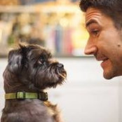 Kenneth Pfeifer's photo