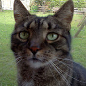 Foto von Blinky