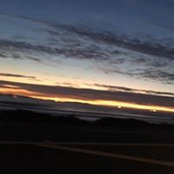 Foto de Lynn Witkowski