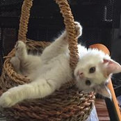 Corie Samson's photo