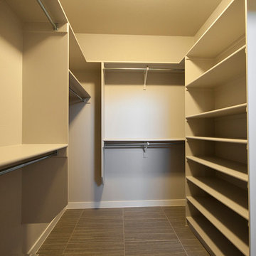 Contemporary Closet